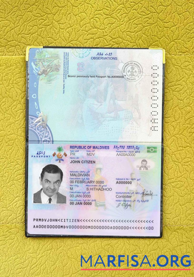 Downloadable Maldives passport photo look real example